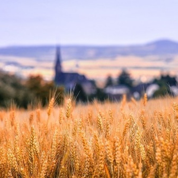 „Zukunftsweg“ / © analogicus/pixabay.com/CC0 1.0 „Zukunftsweg“