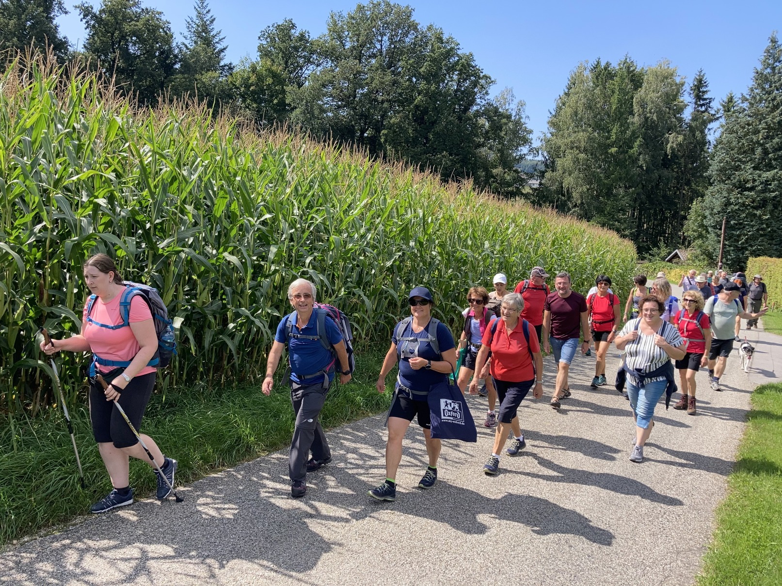 Pilgern Pfarre Schärding
