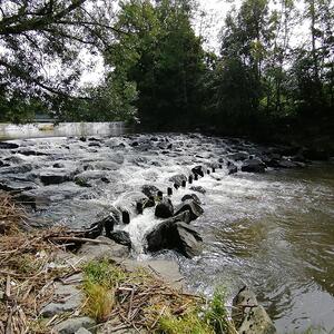 Pilgerwanderung 2023