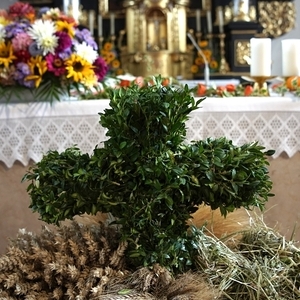 neue Erntekrone                   
