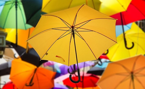 Bunte Vielfallt