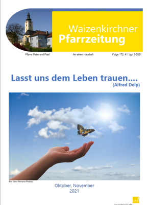 Schmetterling