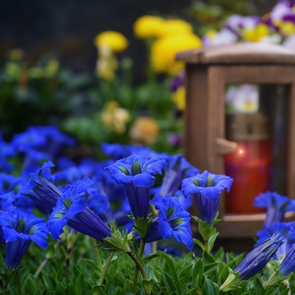 Blumen am Grab